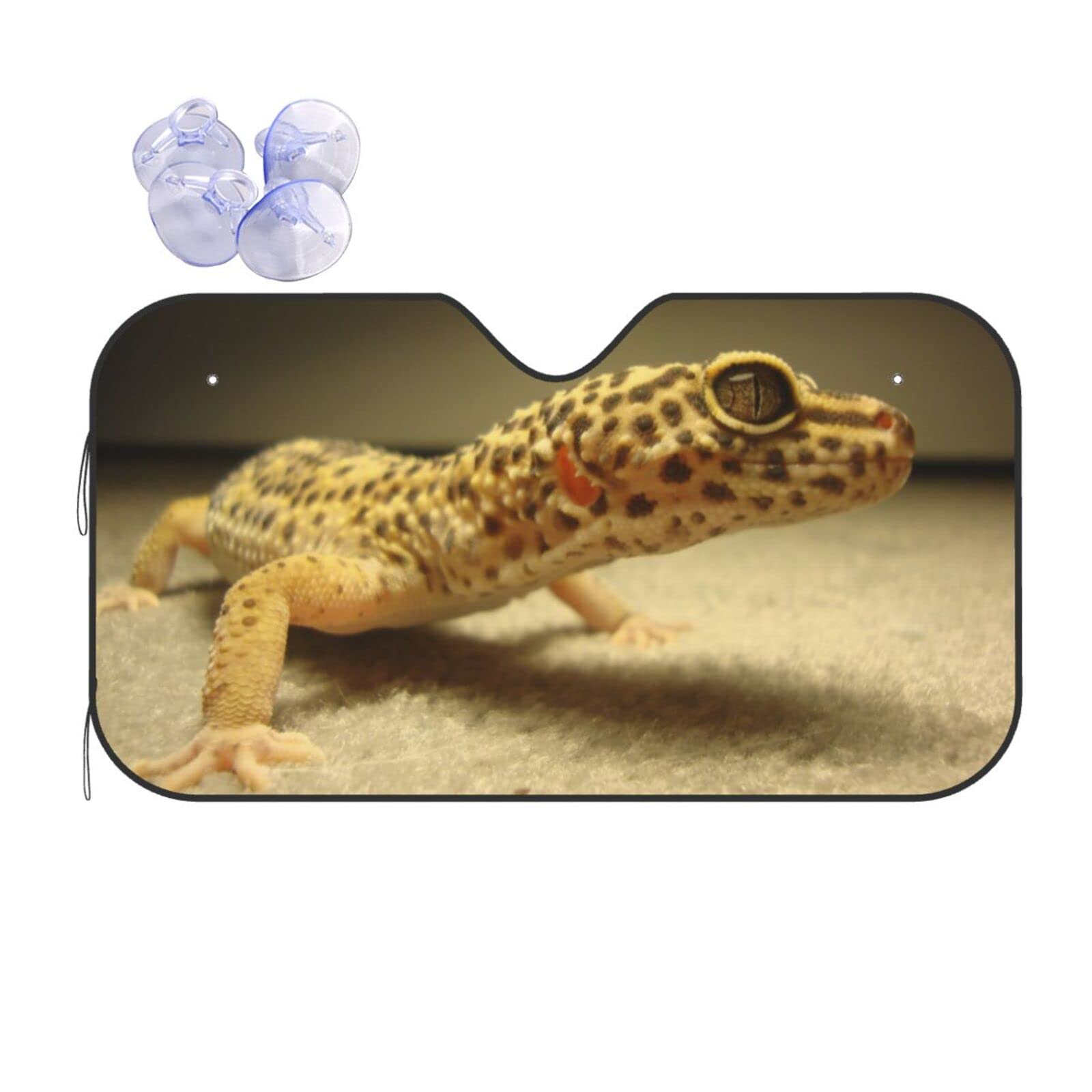 ヤモリ様　専用 fr150044-5.jpg